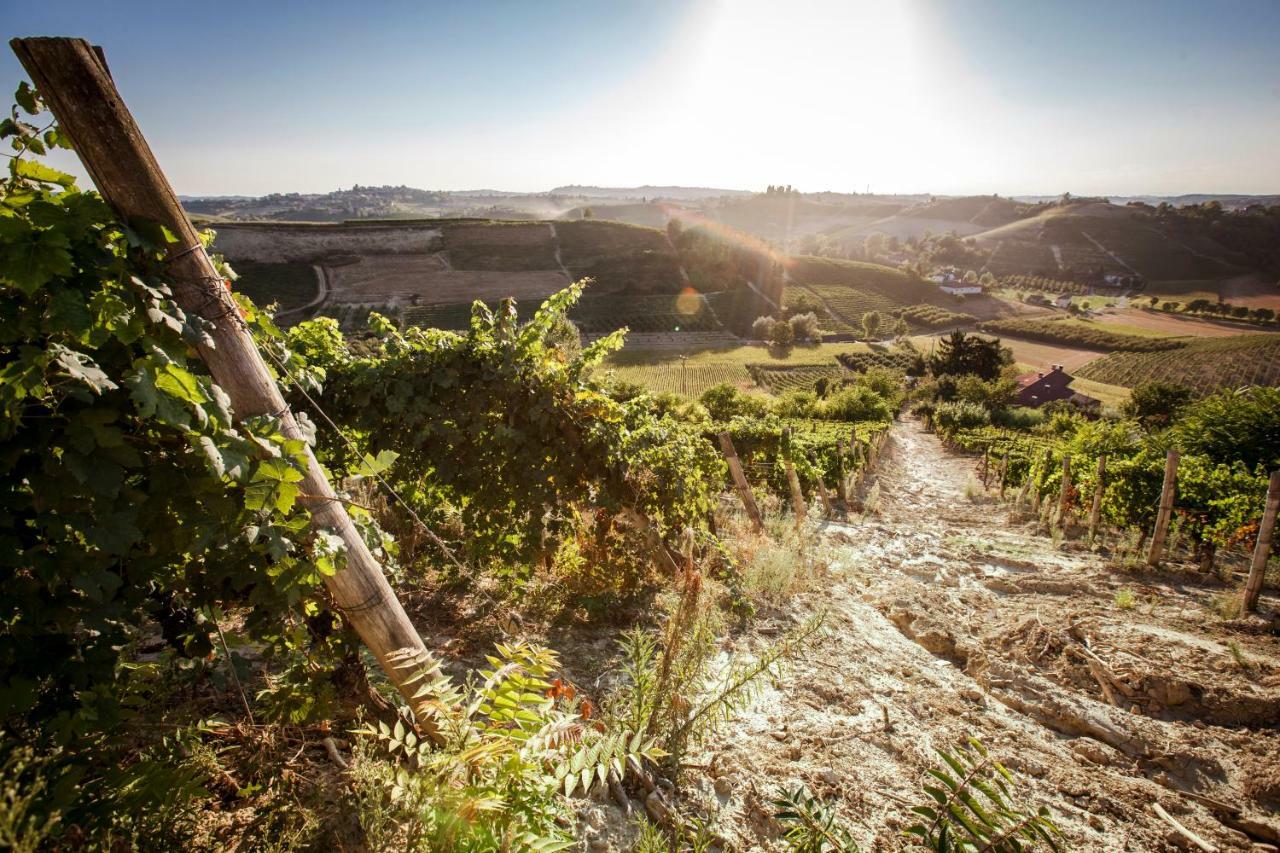 Villa Vinory - La Mandragola Mombercelli 外观 照片
