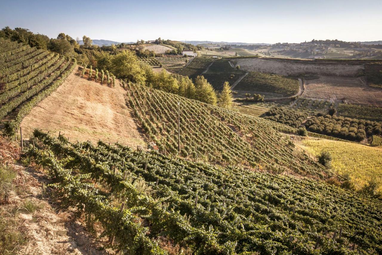 Villa Vinory - La Mandragola Mombercelli 外观 照片