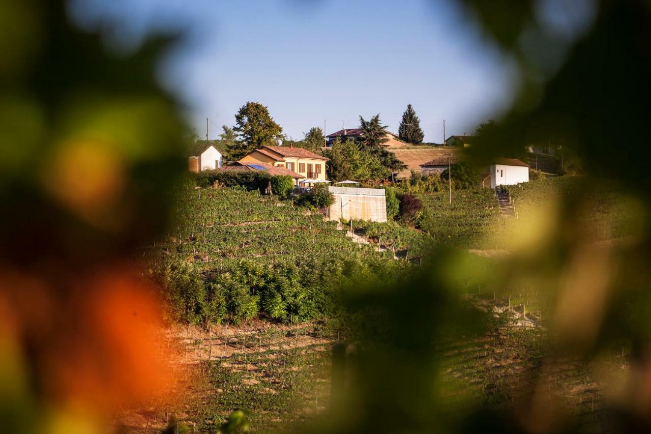 Villa Vinory - La Mandragola Mombercelli 外观 照片