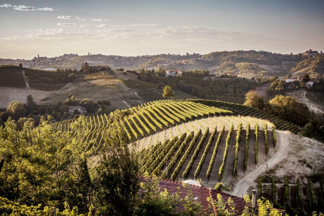 Villa Vinory - La Mandragola Mombercelli 外观 照片
