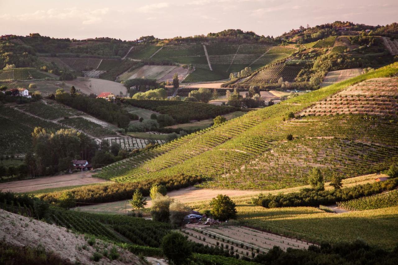 Villa Vinory - La Mandragola Mombercelli 外观 照片